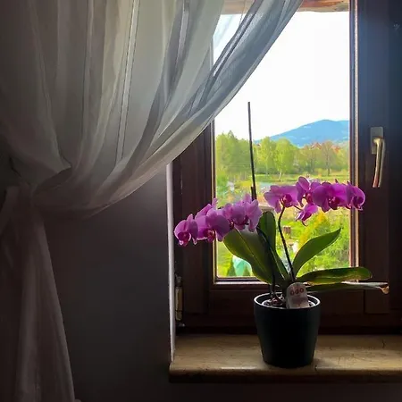 Homestay Po Drodze *